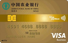 农业银行全球支付信用卡(Visa-金卡)