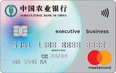 农业银行全球支付信用卡(MasterCard-白金卡)