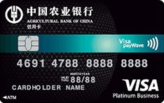 农业银行全球支付信用卡(Visa-白金卡)