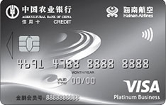 农业银行海南航空联名信用卡(VISA-白金卡)